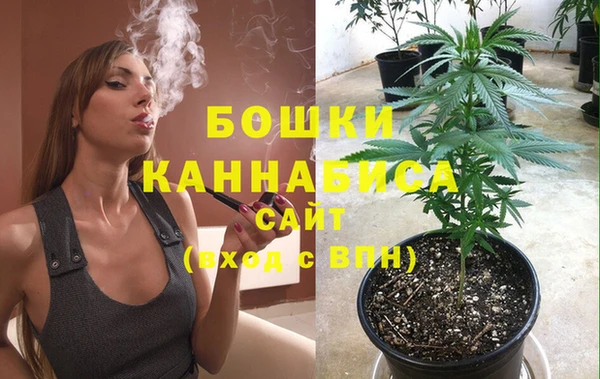 тгк Володарск