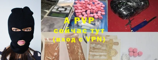 тгк Володарск