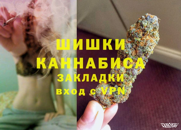 сатива Волосово