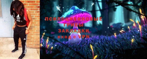mdpv Волоколамск
