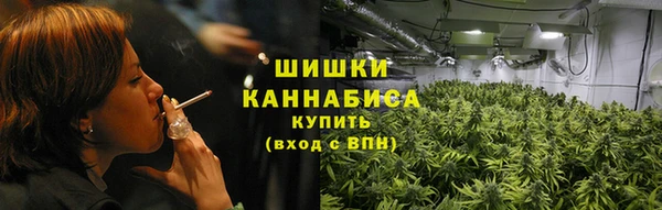 mdpv Волоколамск