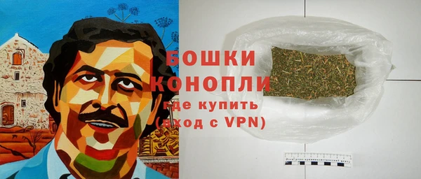 сатива Волосово